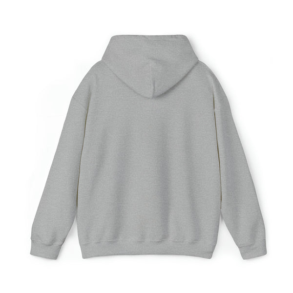 Copy of Hooded Sweatshirt - "DOLPHIN HYZER" Hoodie -Unisex - Heavy Blend