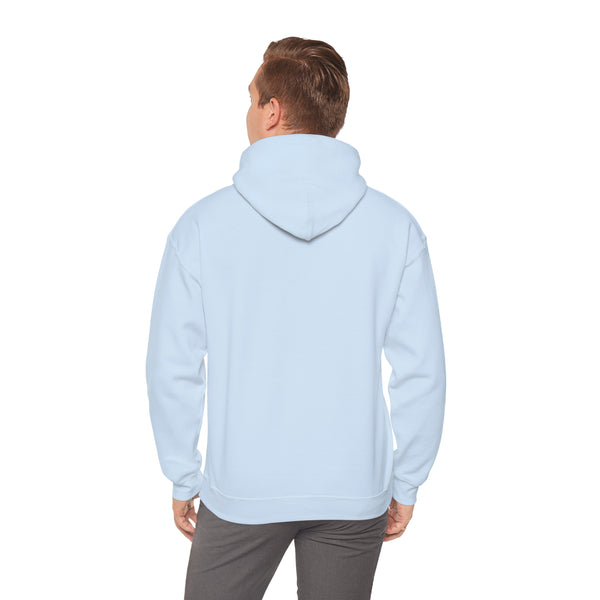 Copy of Hooded Sweatshirt - "DOLPHIN HYZER" Hoodie -Unisex - Heavy Blend