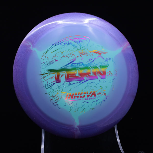 Innova - Tern - Halo Star - Distance Driver 6 BLUE 148 halo halo disc golf Halo Star halo star tern halo tern halo tern disc halo tern innova innova innova halo star tern innova halo tern innova star halo star tern