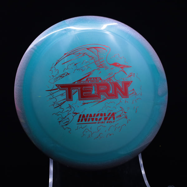 Innova - Tern - Halo Star - Distance Driver 7 TURQUOISE 175 halo halo disc golf Halo Star halo star tern halo tern halo tern disc halo tern innova innova innova halo star tern innova halo tern innova star halo star tern