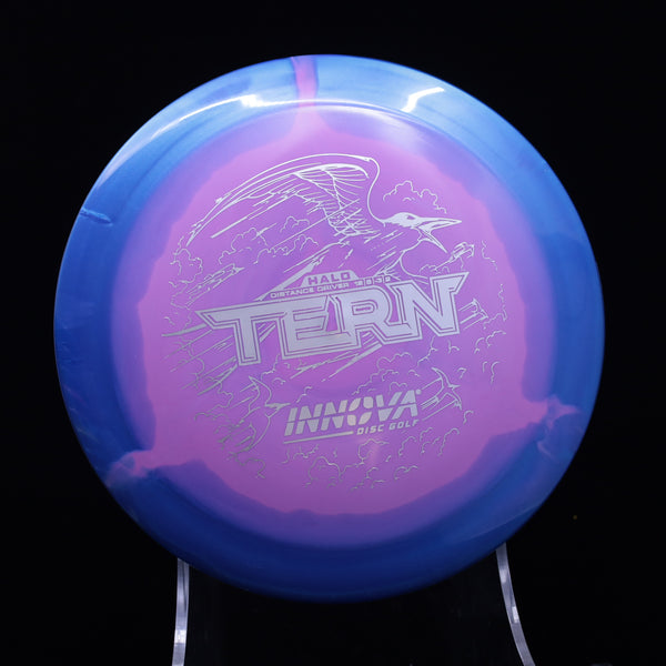 Innova - Tern - Halo Star - Distance Driver 4 BLUE-PURPLE 158 halo halo disc golf Halo Star halo star tern halo tern halo tern disc halo tern innova innova innova halo star tern innova halo tern innova star halo star tern