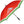 Axiom - Special Edition Watermelon Umbrella - GolfDisco.com