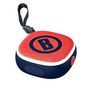 bushnell disc jockey - bluetooth speaker